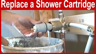 How to Replace a Delta Shower Cartridge [upl. by Kassey807]