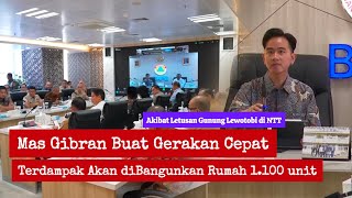 Akibat Letusan Gunung Lewotobi Wapres Buat Gerakan Cepat untuk Mencari solusi cepat bencana di NTT [upl. by Sitrik270]