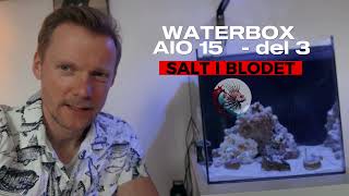 Waterbox AIO Peninsula 15 opstart  del 3 [upl. by Soph972]