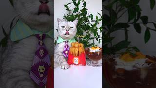 A Super Satisfying Snack🍟 Chips And Ketchup😋🍅 catsofyoutube foodlover tiktok [upl. by Mays]