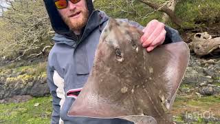 A couple of hours fishing up the cleddau river [upl. by Fellows]