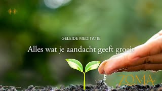 Meditatie Alles wat je aandacht geeft groeit  ZoMa Opleidingen [upl. by Anuahc]