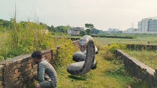 Anaconda snake attack Crazy man in The forest  Anaconda snake attack man in real life forestlife [upl. by Marline]