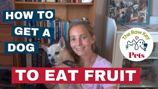 Healing Dogs and Cats Chat Episode 003 How to get a dog to eat fruit [upl. by Acimad]