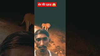 शेर🦁 की असली दहाड़ 🦁jangle tiger shorts animals jangalisher lionvoice [upl. by Nele296]