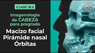 162  Principios de imagen del macizo facial pirámide nasal y órbita [upl. by Adran]