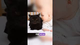 The Vanishing Baby cat pets baybay2021 baby babygirl babyboy babyshorts [upl. by Enahs]