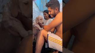 দুটো বাচ্চা নিয়ে প্রবলেমে পরে গেলাম☹️🧿minivlog shorts unmarriedcouplevlog doglover [upl. by Yasibit]