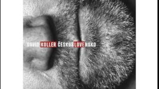 DAVID KOLLER  Gypsy Love [upl. by Aw49]