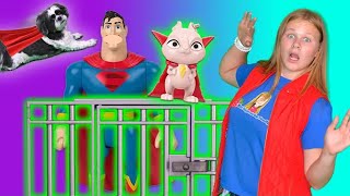 Assistant and Wiggles Challenges DC Super Pets to Save Superman [upl. by Alta929]