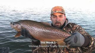 Pronghorn Lake Trophy Kamloops amp Wickiup Trophy Browns Intro [upl. by Kaete]