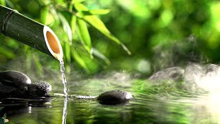 Relaxing Piano Music amp Water Sounds 247  Ideal for Stress Relief and Healing 1 [upl. by Enimsay]