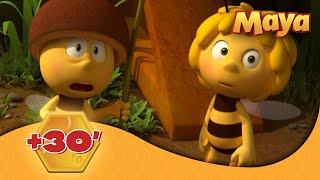 La Abeja Maya 🐝 🕒 30 EPISODIOS COMPLETOS 🐝 [upl. by Ecenaj]