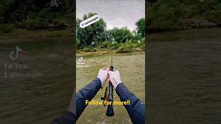 Spektakulärer Welsdrill mit der Fliegenrute bei Hochwasser 🤯🤯viralvideo fishing fish art capcut [upl. by Towney]