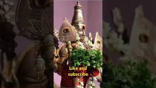 பழநி முருகன் அவனிதனிலே Pazhani murugan avanithanile [upl. by Anuqahs]