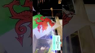 Wales national anthem [upl. by Nennarb]