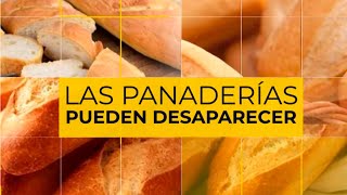 LAS PANADERÍAS PUEDEN DESAPARECER cobran el pan menos de lo que vale para poder vender [upl. by Inttirb]