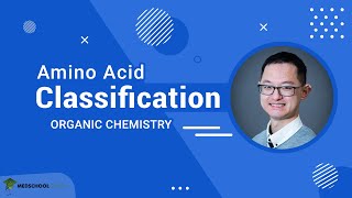 Classification of Amino Acids [upl. by Islek]