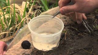 Macroinvertebrates and Water Quality [upl. by Komarek642]