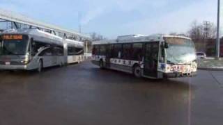 Cleveland RTA Buses at Louis Stokes [upl. by Evatsug269]