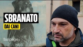 Sbranato dai cani l’allevatore che ha cercato di salvarlo “Ho gridato per attirarli contro di me” [upl. by Mij16]