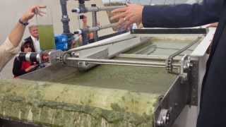 EWS Algae A60 HighSpeed ChemicalFree Algae Harvesting [upl. by Malka]