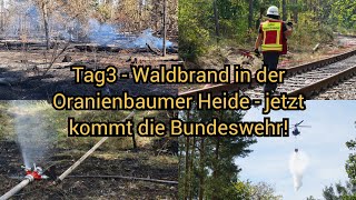 Waldbrand in Oranienbaumer Heide  Jetzt kommt die Luftwaffe Kampf bei 33°c gegen die Glut  Fire [upl. by Adle812]