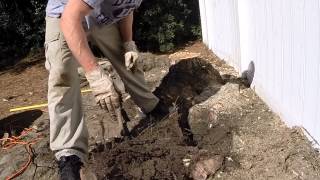 Tree stump removal by hand Part 3 [upl. by Trixie726]