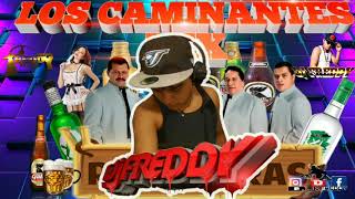 Los Caminantes Mix  Dj Freddy rmx Gt  Rancheras para pistear [upl. by Farand]