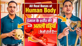 FullVideoAll Real Bones of Human Body  इंसान के शरीर की सभी असली हड्डियाँ कैसी होती हैं viral [upl. by Ayatan]