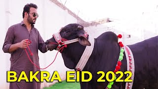 Bakra eid 2022 [upl. by Moulden]