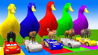 5 Giant Duck CartoonCowGiraffeElephantTigerLion Paint Wild Animals Crossing Fountain Animation [upl. by Enilekaj]