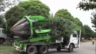 Clyde Road Upgrade  Tree relocation [upl. by Fortunio]