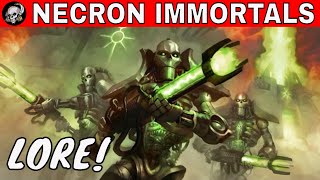 NECRON IMMORTALS IN WARHAMMER 40000 [upl. by Latvina]