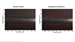 STING Needle Insertion Mechanics Revealed by Digital Image Correlation [upl. by Rhodie]