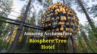 One of a kind treehouse hotel is definitely one for the birds [upl. by Lenhart520]