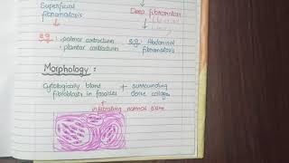 Fibromatosis Pathology [upl. by Ylrebmit]