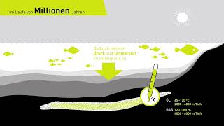 Entstehung von Erdöl und Erdgas [upl. by Ytima]