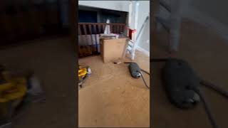 New Flooring amp Stairs Remodelling renovation rzpremiumrenos ytshorts youtubeshorts viralvideo [upl. by Autrey]