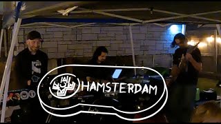 Last Hamsterdam Video Goldeneye 007 Dance Party [upl. by Adlay]