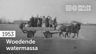 📼 Eerste beelden van de Stormramp 1953 [upl. by Gereld]