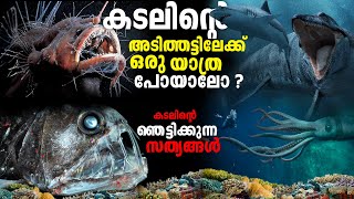 Journey to the Mariana Trench  മരിയാന ട്രെഞ്ചിലേക്ക് ഒരു യാത്ര പോകാം [upl. by Ariem]