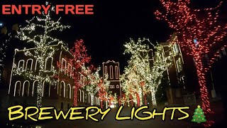 AnheuserBusch Brewery Lights DriveThru Experience 2020 Is Beautiful in St Louis Missouri [upl. by Leena]