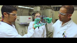 Why researchers scientists and students come to KAUST [upl. by Edithe]