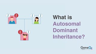 What is Autosomal Dominant Inheritance [upl. by Oswell]