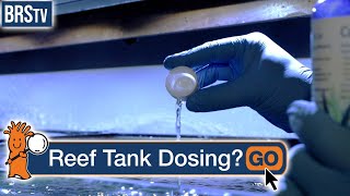 What Is Dosing a Saltwater Tank [upl. by Norha85]