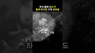 주인 몰래 위스키 훔쳐 마시던 구청 공무원 [upl. by Zysk]