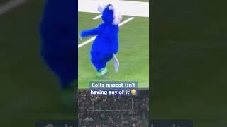 Colts mascot shenanigans nfl colts indianapoliscolts blue mascot popwarnerfootball fighting [upl. by At]