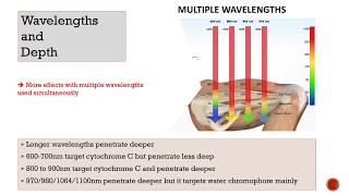 KLASER WEBINAR Photobiomodulation and optimal results with laser therapy [upl. by Philly]