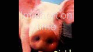 Swine flu Song w lyrics [upl. by Notterb]